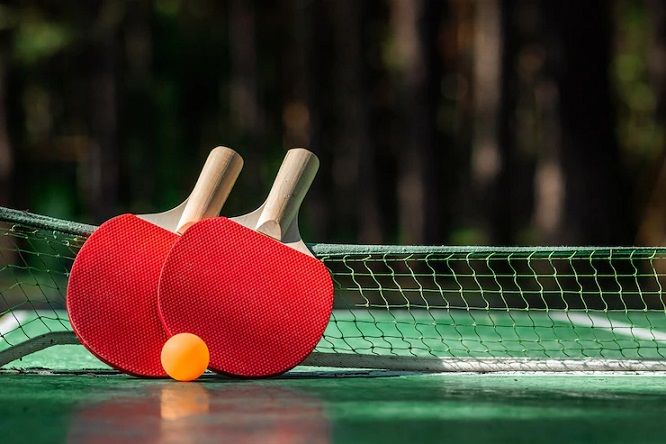 Istilah dalam Olahraga Tenis Meja